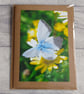Blue Butterfly Photo Greetings Card - Image 3