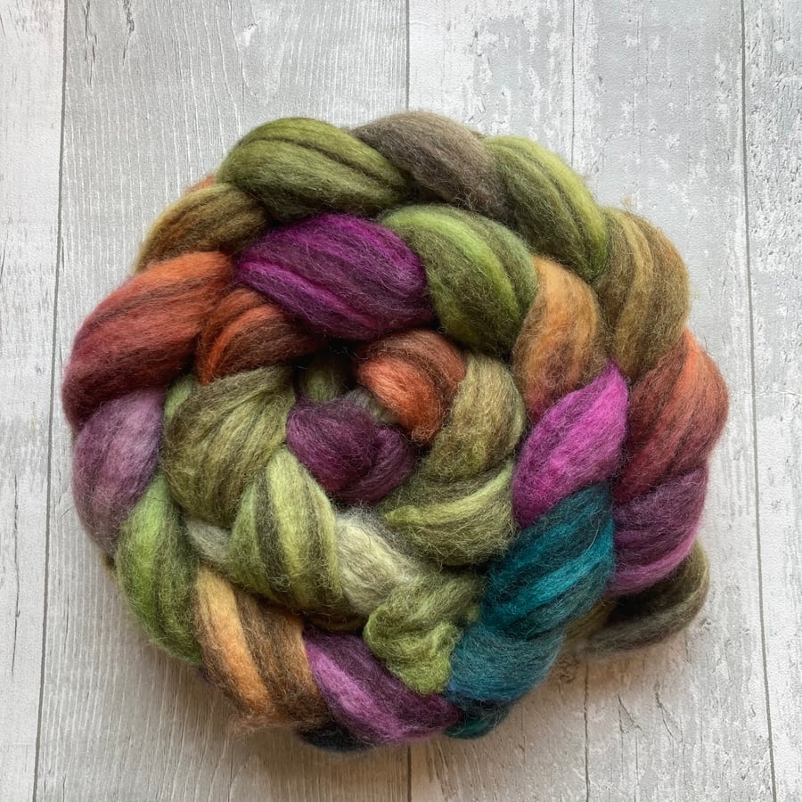 BFL humbug spinning fibre 140g Zebra Rainbow