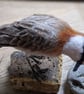 Lesser Sand Plover - RESERVED COMMISSION FOR M - Image 6