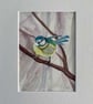 Blue tit bird (original watercolour painting) - Image 2