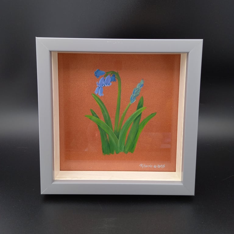 Bluebell Study 4