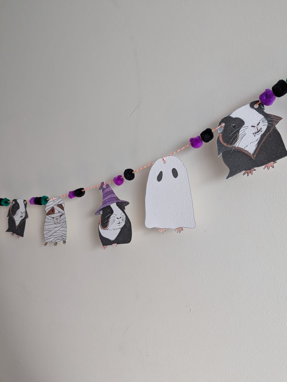 Guinea Pig Halloween Bunting Decorations