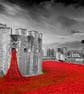 Poppies at The Tower of London Blood Swept Lands and Sea of Red 18"X12" Print - Image 1