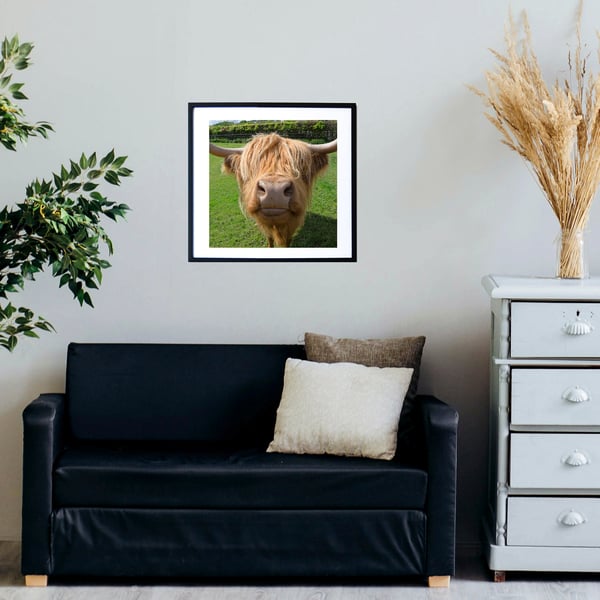 Scottish highland cow wall art print