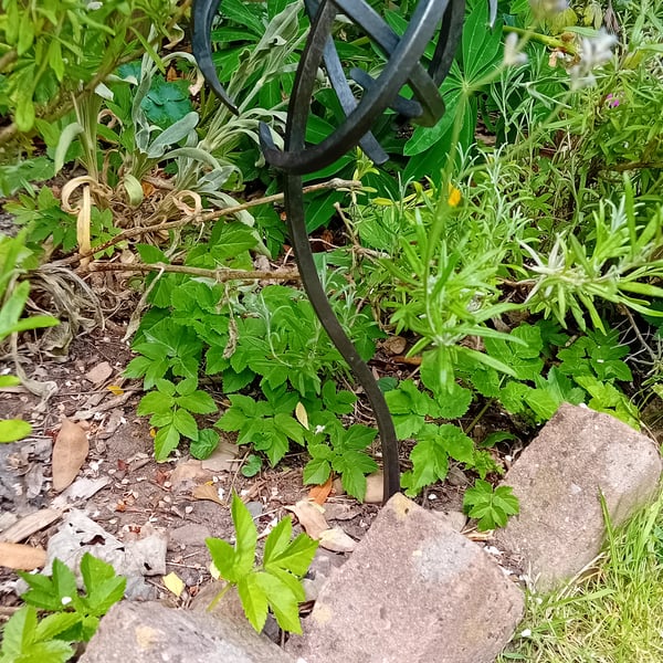 Orb on curve