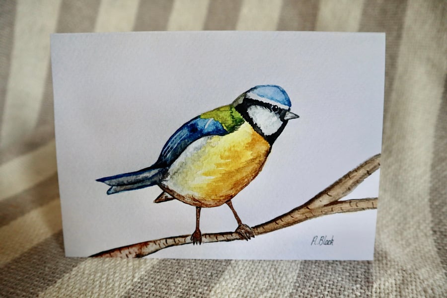 Hand painted bluetit cards - PRINT version 