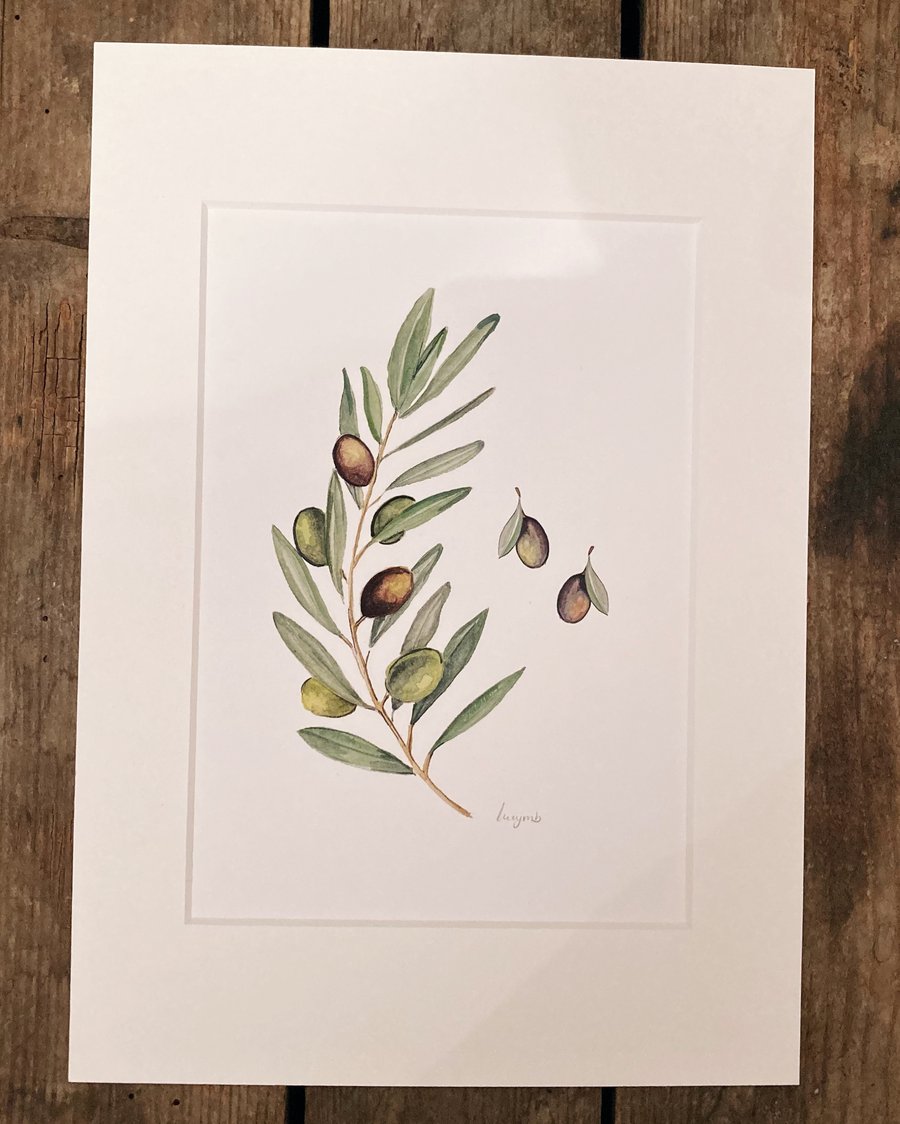 Olive mounted print