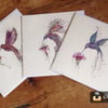Trio of Hummingbirds