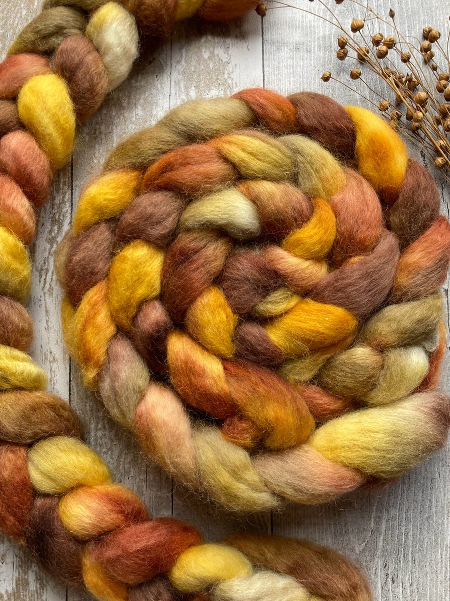 Cotswold Spinning fibre 100g Golden fleece