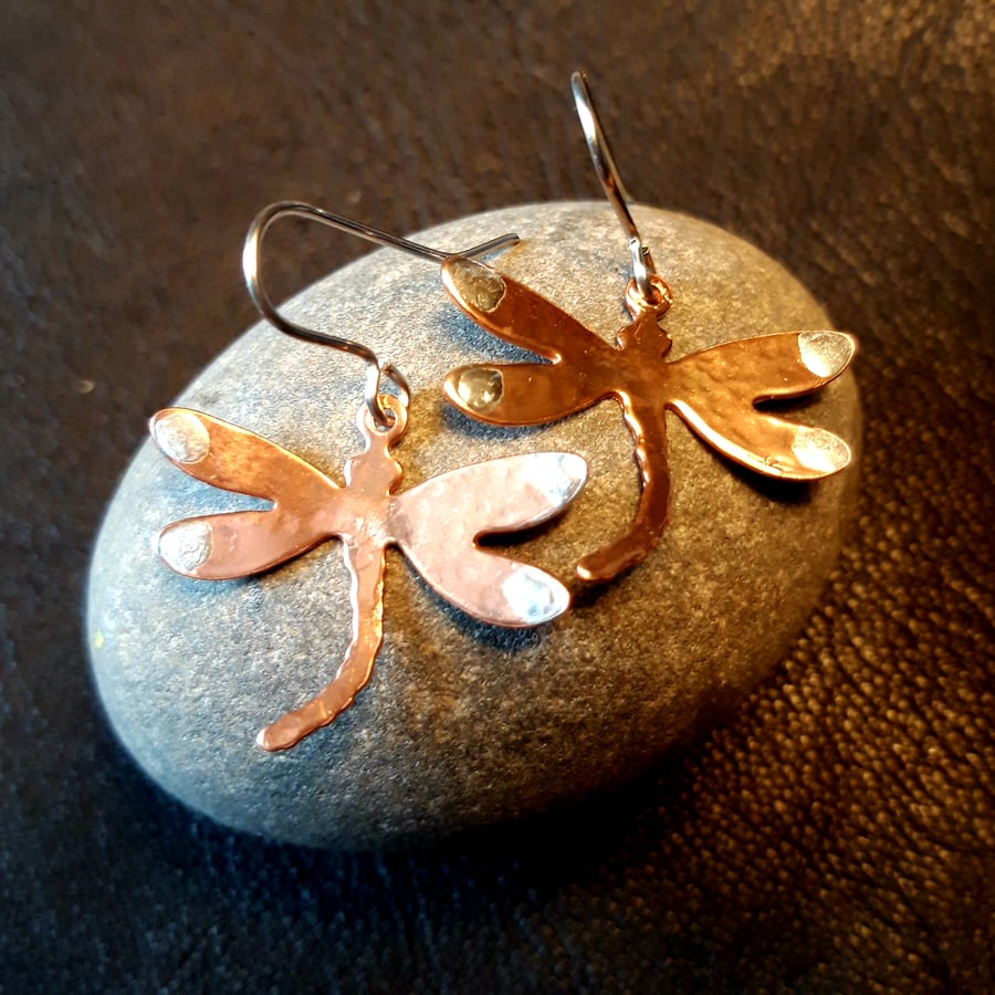 Copper and Silver Dragonflies