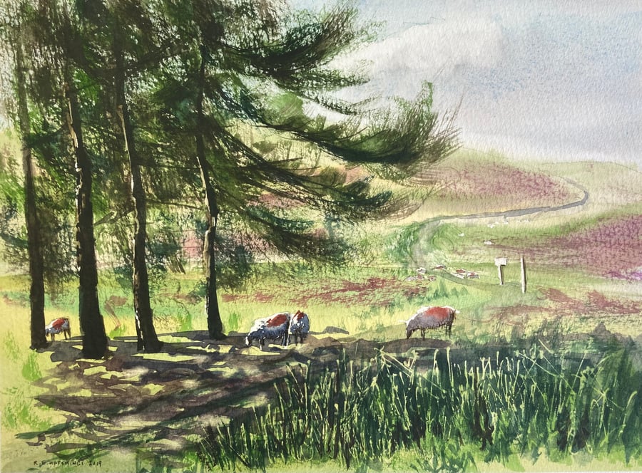 Commondale (Pure Original Watercolour)