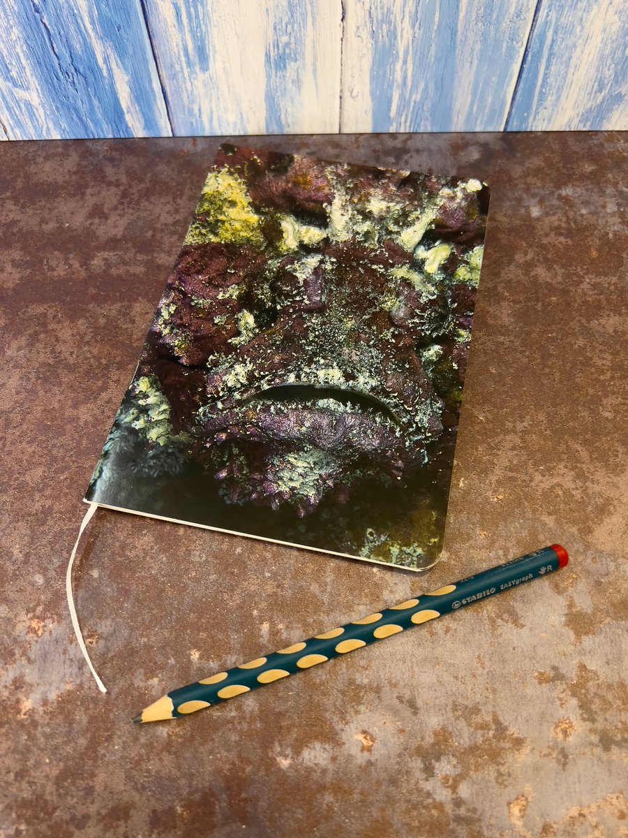 Notebook, Marine themed, A5 (ish), made from up-cycled and recycled materials.