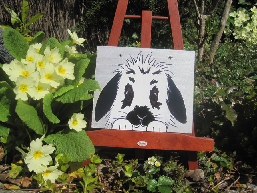 Rabbit  Painting SALE