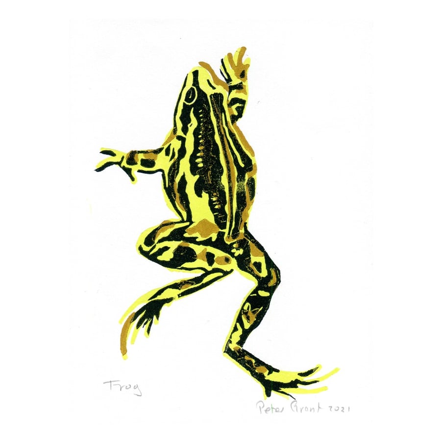Frog linocut print original limited edition hand printed colour lino print