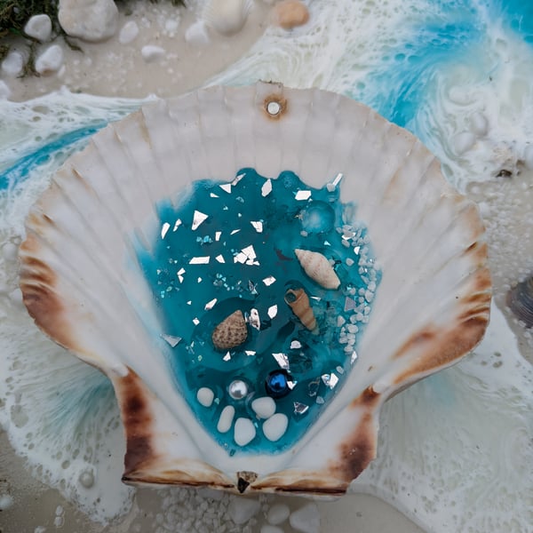 Hanging Shell With Resin Rockpool