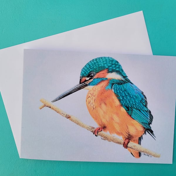 Kingfisher card. A beautiful bird blank greetings card.
