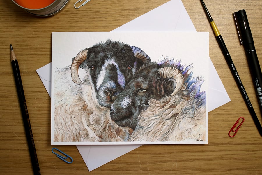 Sheep Greeting Card - Blank Greeting Card, Wildlife Art Card, Free UK Post