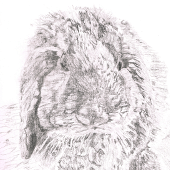 Original Art & Jewellery