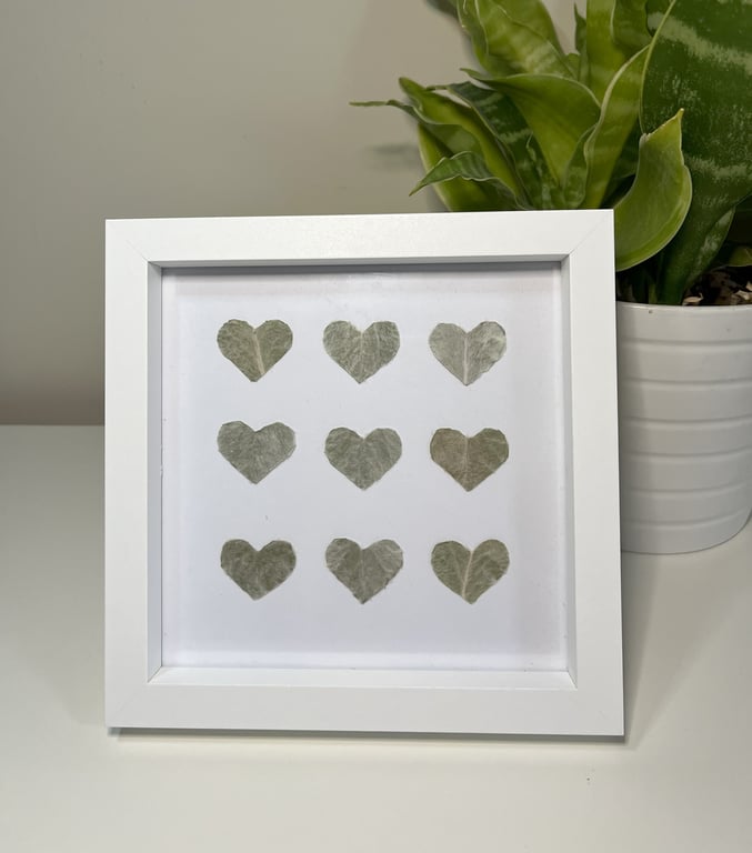 Framed Pressed Foliage Real Leaves Botanical Art