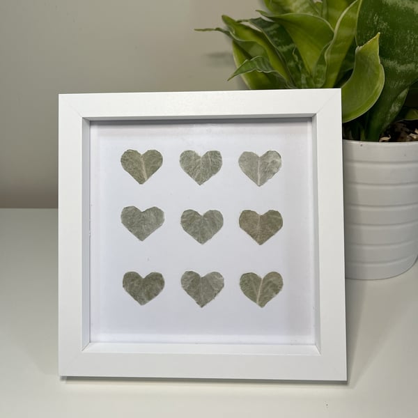 Framed Pressed Foliage Real Leaves Botanical Art