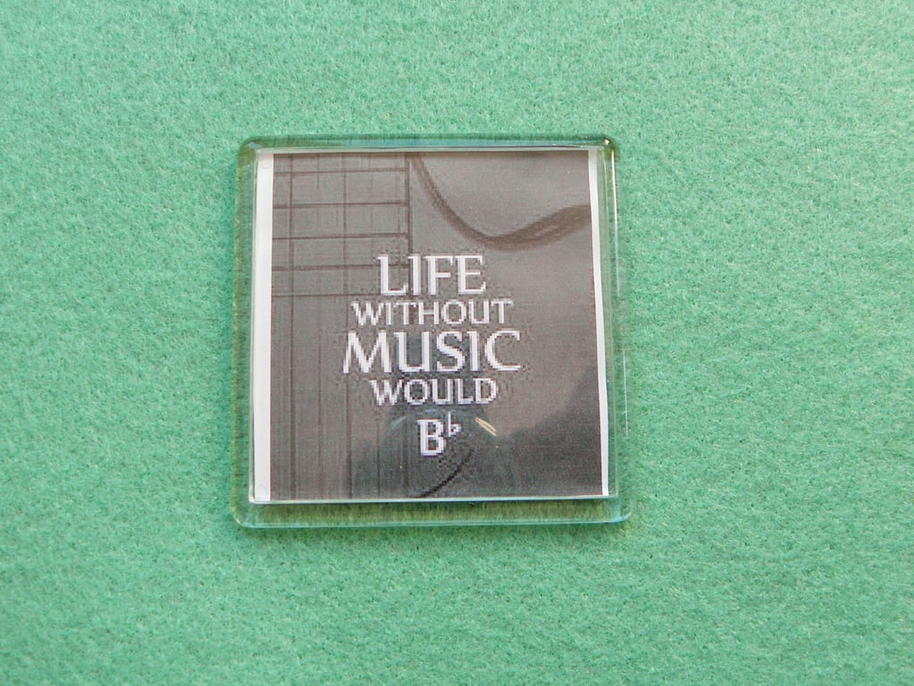 Life Without Music Fridge Magnet