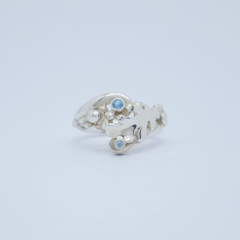 Seaweed on the beach ring 