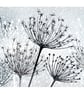 Seedheads Illustrated Art Print - Image 3