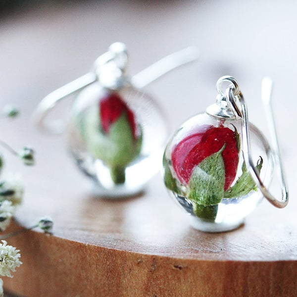 Rose Bud Earrings Tiny Rose Globes Real Flower Earrings Red Roses Pressed Flower