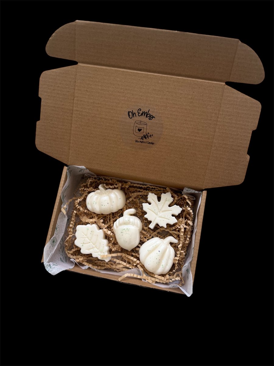 Autumn wax melt gift boxed 