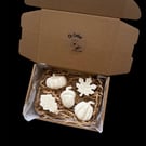 Autumn wax melt gift boxed 