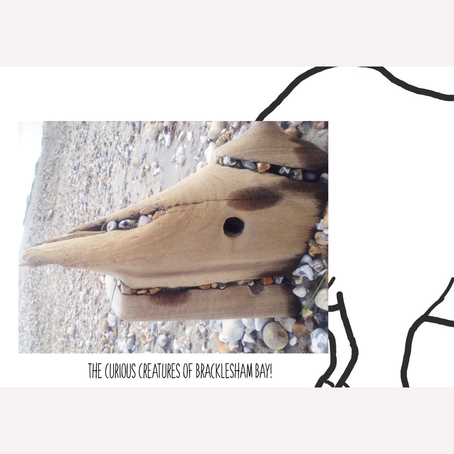 The Rhino: A4 photo or A3 poster, unframed.
