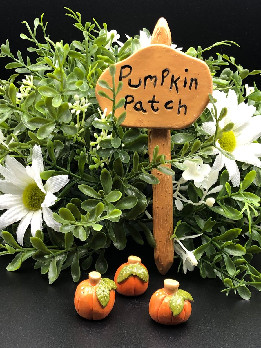 Fairy garden pumpkin patch sign and pumpkins 