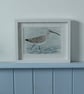 Curlew in frame - Image 1