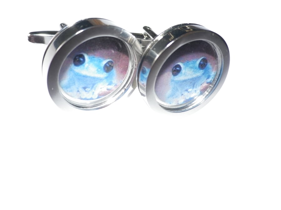 Blue Tree Frog cufflinks, presentation box, gift wrapped, free shipp 6060
