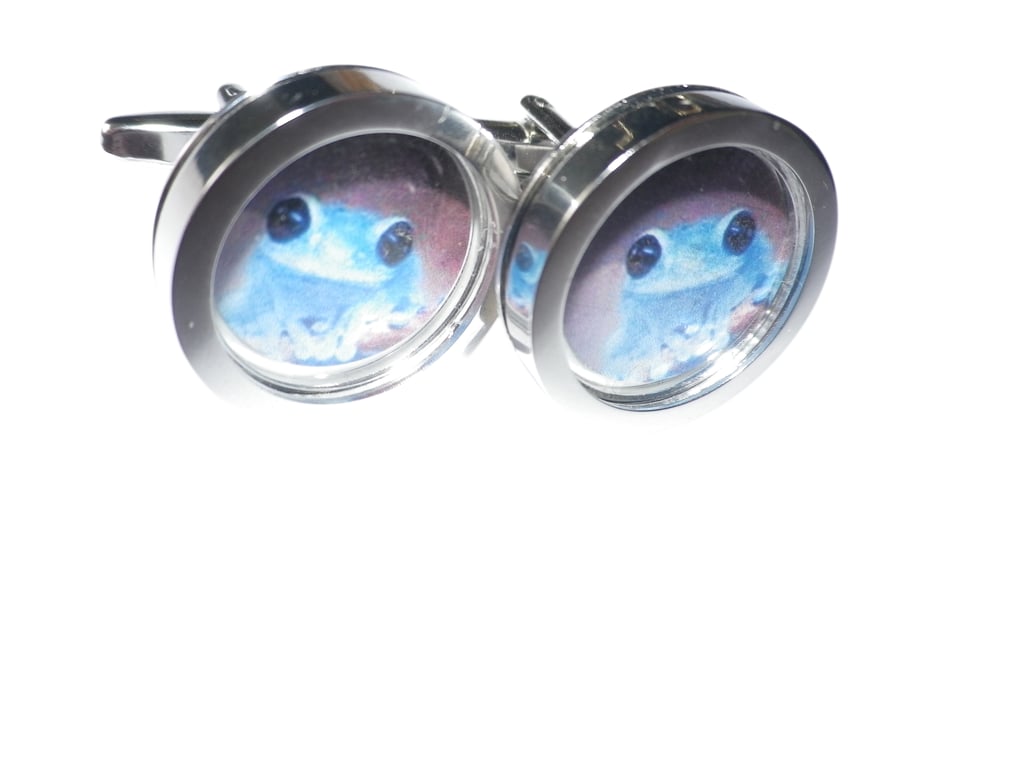 Blue Tree Frog cufflinks, presentation box, gift wrapped, free shipp 6060