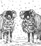Swaledale Born n Bred card - Image 1