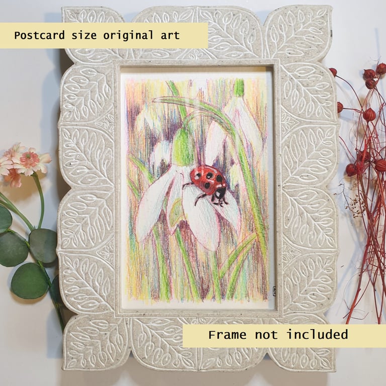 ladybird letterbox art gift, small original drawing, insect art