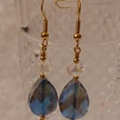 Sparkly Crystal Drop Earrings
