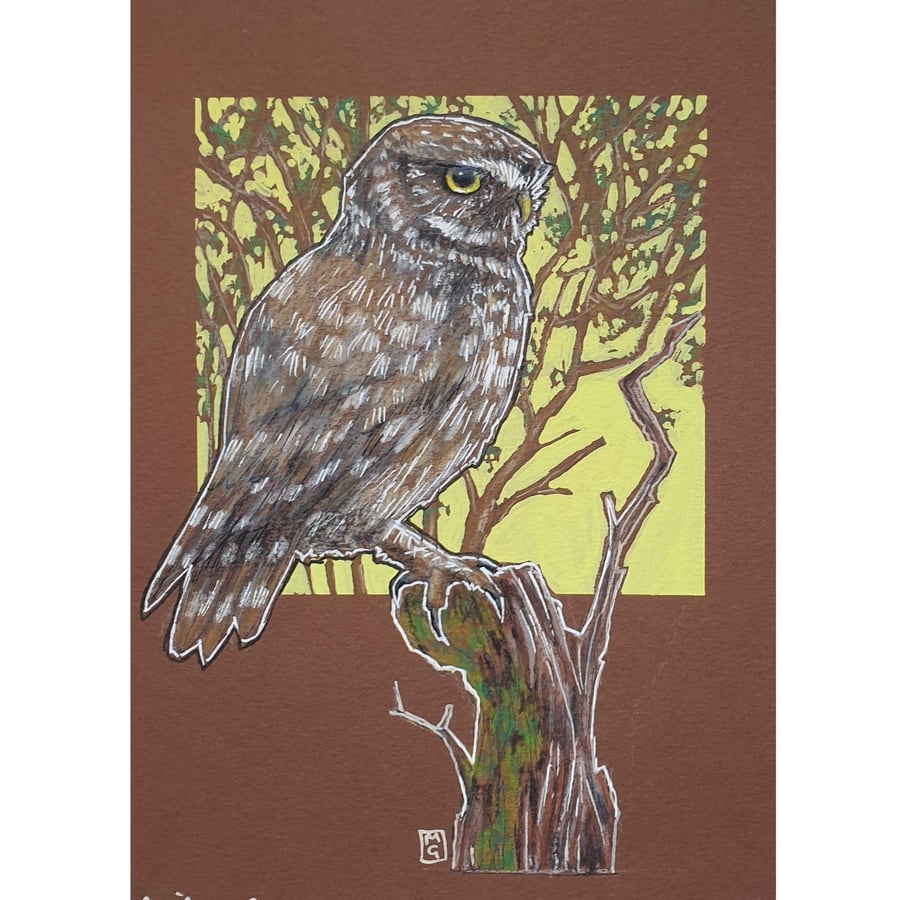 Little Owl original drawing, owl artwork, bird wall art