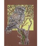 Little Owl original drawing, owl artwork, bird wall art - Image 1