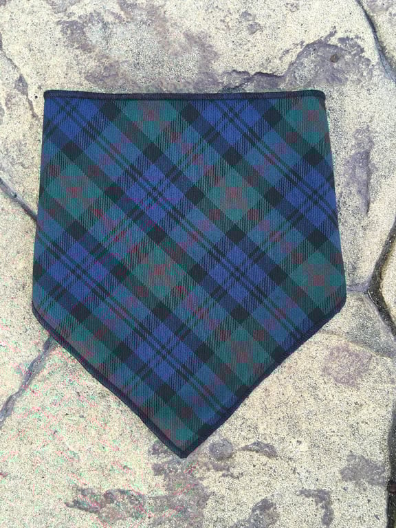 Baird Tartan, Babies, Childrens Bandana Bib