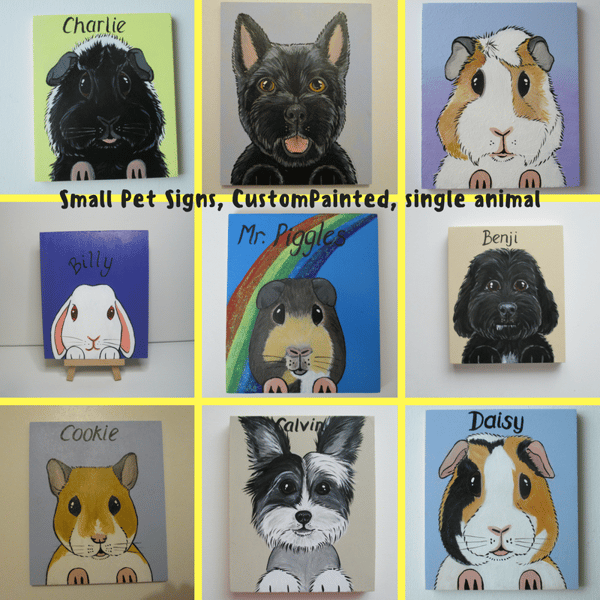 Personalised Pet Sign customised for rabbits guinea pigs cats dogs Sml NO HOLES