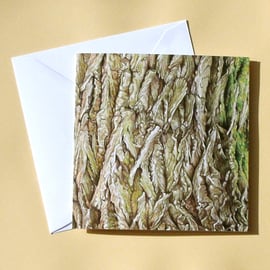 Greetings Card - Blank - Willow Tree Bark
