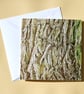Greetings Card - Blank - Willow Tree Bark - Image 1