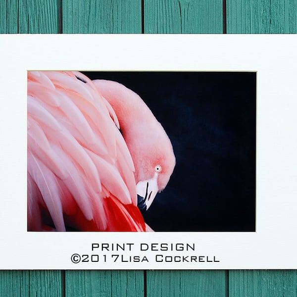 FLAMINGO PRINT (A4 approx) MOUNTED FOR 40 X 30 CM FRAME