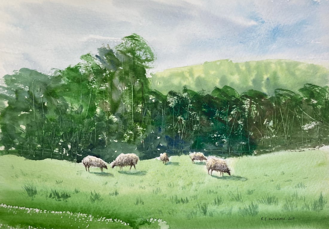 Kildale sheep study (Pure Original Watercolour)