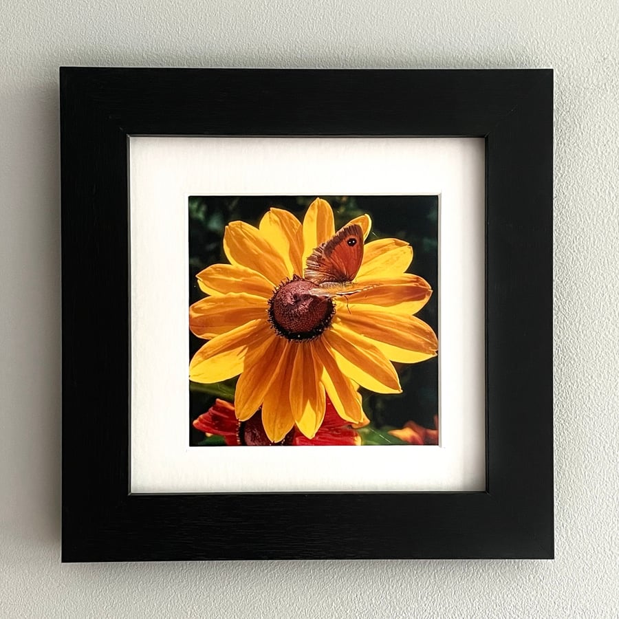 Sunflower & Butterfly Framed Photo