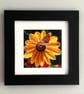 Sunflower & Butterfly Framed Photo