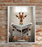 Giraffe reading a newspaper Bathroom Wall Prints
