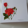HAND PAINTED WATER COLOUR CARD WITH ROSES